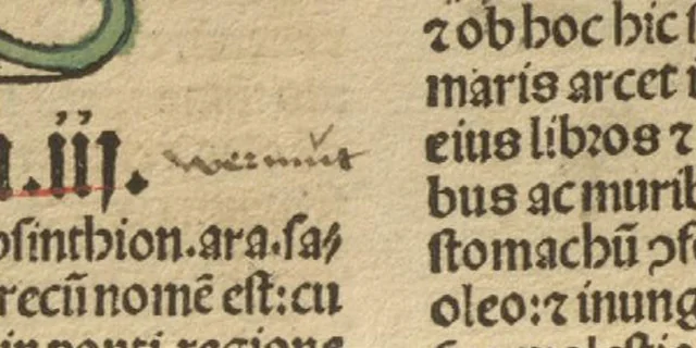 Glosa manuscrita Wermut · posterior a la impresión de 1497, sin fecha determinada. Hortus sanitatis. De herbis et plantis; De animalibus et reptilibus; De avibus et volatilibus; De piscibus; De lapidibus; De urinis